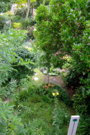 Aerial view of Garden